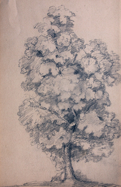 zeichnung baum 1916